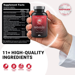 NAD+BURN™ 60 Capsules | Lose Weight, Burn Fat, Boost Energy & Enhance Anti-Aging Support Cellregen