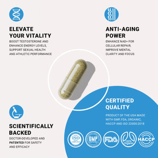 NAD+HIM™ 90 Capsules |Boost Testosterone, NAD+, Stem Cell Health & Glutathione for Vitality, Energy, and Performance Cellregen