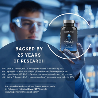 StemXR® 90 Capsules | Elevate Stem Cells & Revitalize Vitality Amplify stem cell activity, enhance energy, rejuvenate skin, and restore peak wellness. Cellregen