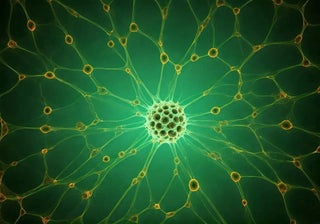 10-Secret-Benefits-of-Bone-Marrow-Regeneration-for-a-Youthful-Glow Cellregen®