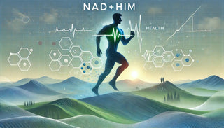 NAD+HIM is designed to improve stem cell longevity while boosting testosterone levels